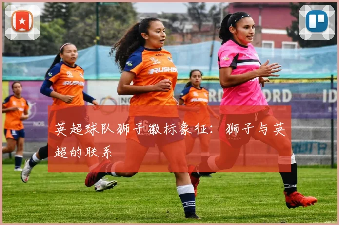 英超球队狮子徽标象征：狮子与英超的联系