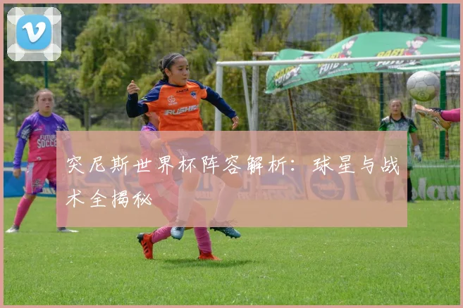 突尼斯世界杯阵容解析：球星与战术全揭秘