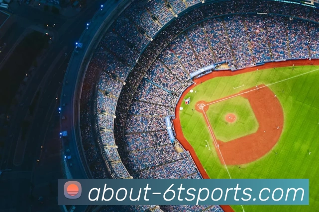 6T体育平台生态图